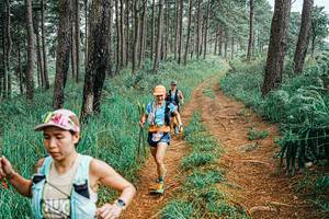 BIB: 
                            <button type="button" onclick="openModal(25699969)" class="btn btn-primary btn-sm float-right btn-popup" data-toggle="modal" data-target=".modal-high-quality">
                        <i class="fas fa-shopping-cart"></i> Add to Cart
                    </button>
                                            <button type="button" onclick="isThisMe(25699969, true)" class="btn btn-success btn-sm float-right btn-popup btn-isme hidden" data-toggle="tooltip" data-placement="bottom" title="นี่คือรูปของคุณใช่ไหม คลิกที่นี่เพื่อเอาเข้าอัลบั้ม">
                        <i class="fas fa-plus"></i> Add to album
                    </button>
                    <button type="button" onclick="isThisMe(25699969, false)" class="btn btn-warning btn-sm float-right btn-popup btn-isnotme hidden">
                        <i class="fas fa-ban"></i> Remove from album
                    </button>